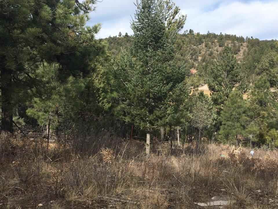 10 & 12 Valley View AV, Mayhill, NM 88339