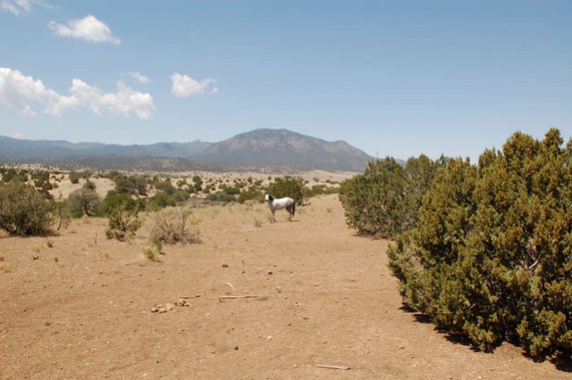 30 LONGHORN LOOP, Nogal, NM 88341