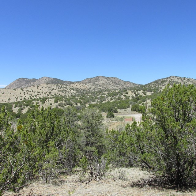 18 Longhorn Loop, Nogal, NM 88341