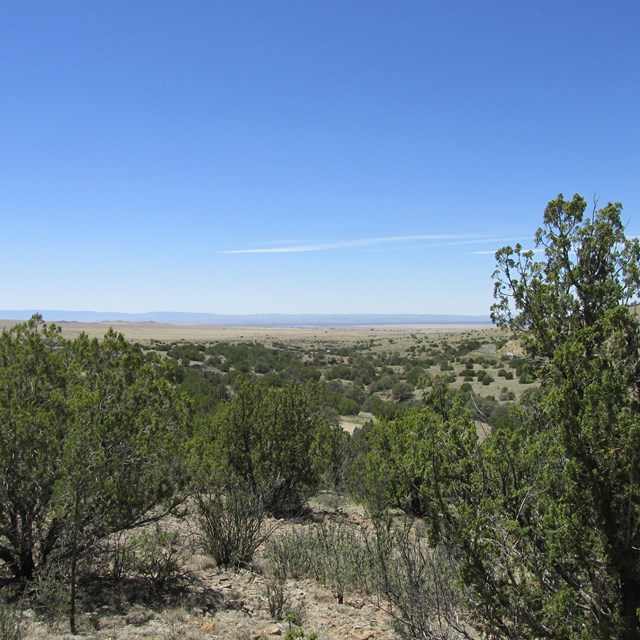 18 Longhorn Loop, Nogal, NM 88341