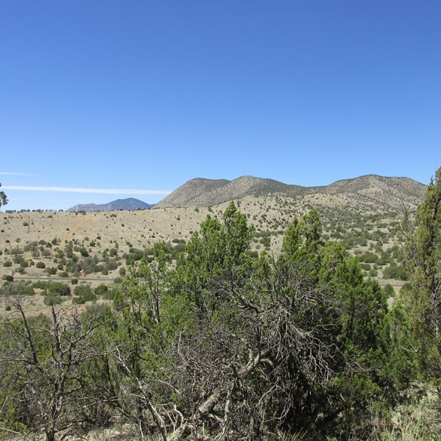 18 Longhorn Loop, Nogal, NM 88341