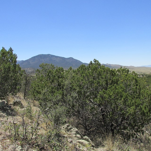 18 Longhorn Loop, Nogal, NM 88341