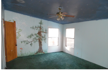 107 Raymond BuckneRuidoso, NM, 88345Lincoln County