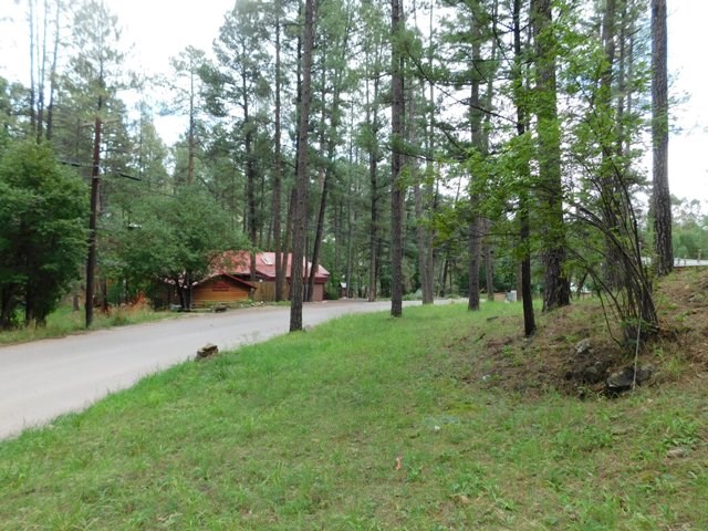 131 BRADY CANYON DRIVE, Ruidoso, NM 88345