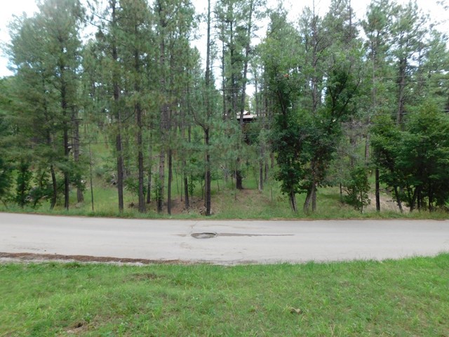 131 BRADY CANYON DRIVE, Ruidoso, NM 88345