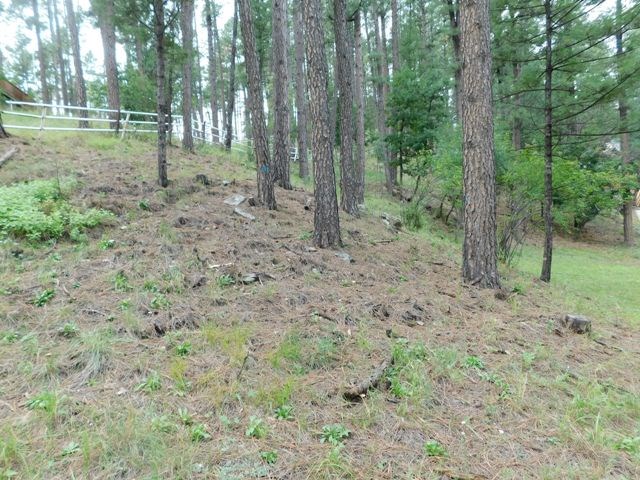 131 BRADY CANYON DRIVE, Ruidoso, NM 88345