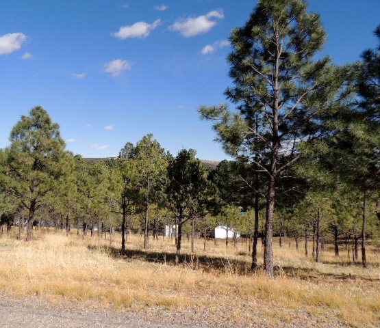 304 College Drive, Ruidoso, NM 88345