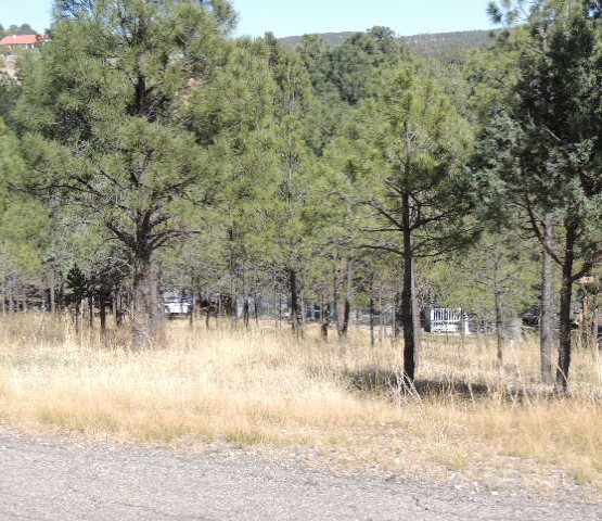 304 College Drive, Ruidoso, NM 88345