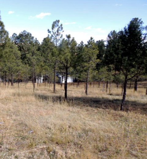304 College Drive, Ruidoso, NM 88345