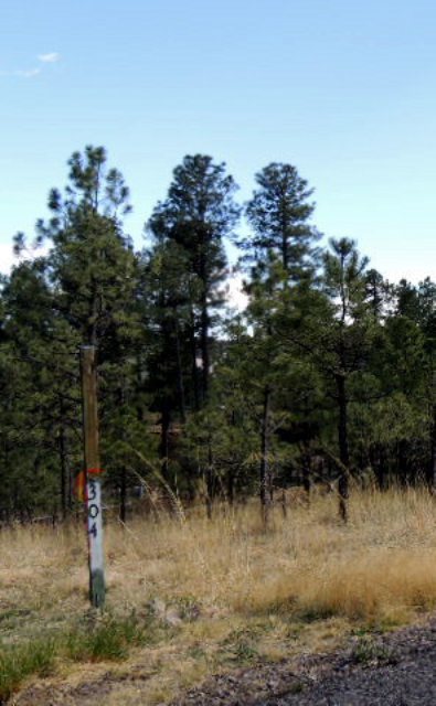 304 College Drive, Ruidoso, NM 88345