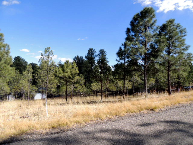 304 College Drive, Ruidoso, NM 88345