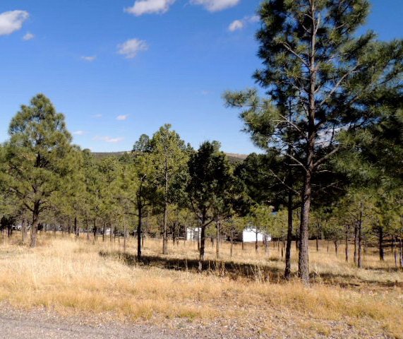 304 College Drive, Ruidoso, NM 88345