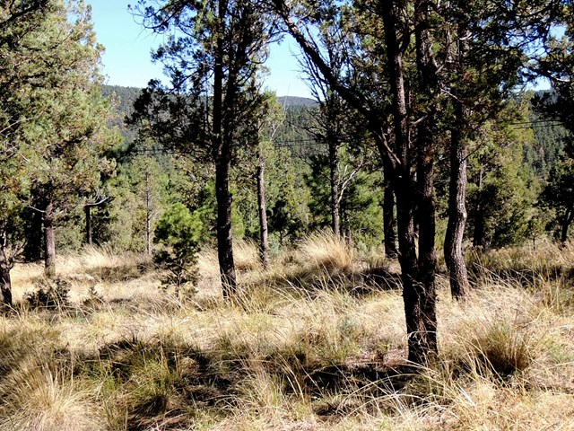 100 Woodland Drive, Ruidoso, NM 88345