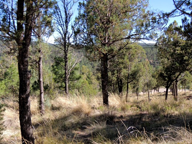 100 Woodland Drive, Ruidoso, NM 88345
