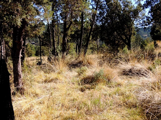 100 Woodland Drive, Ruidoso, NM 88345