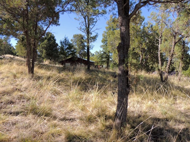 100 Woodland Drive, Ruidoso, NM 88345