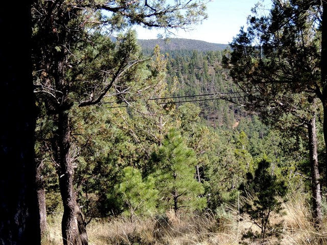 100 Woodland Drive, Ruidoso, NM 88345