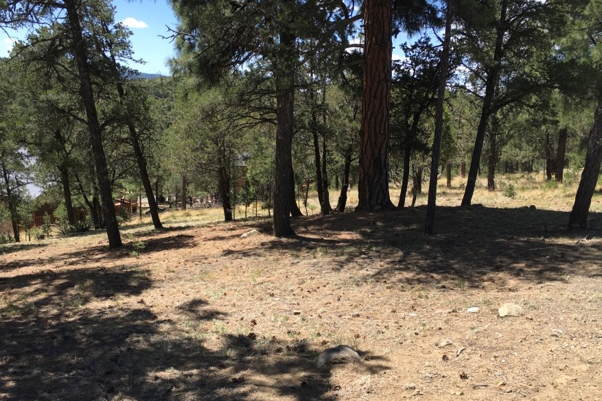 119 Pat Thompson Court, Ruidoso, NM 88345