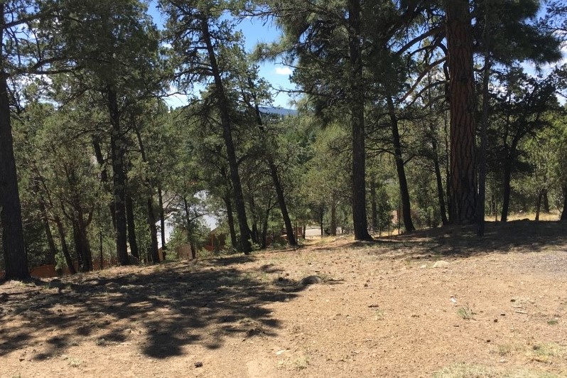 119 Pat Thompson Court, Ruidoso, NM 88345