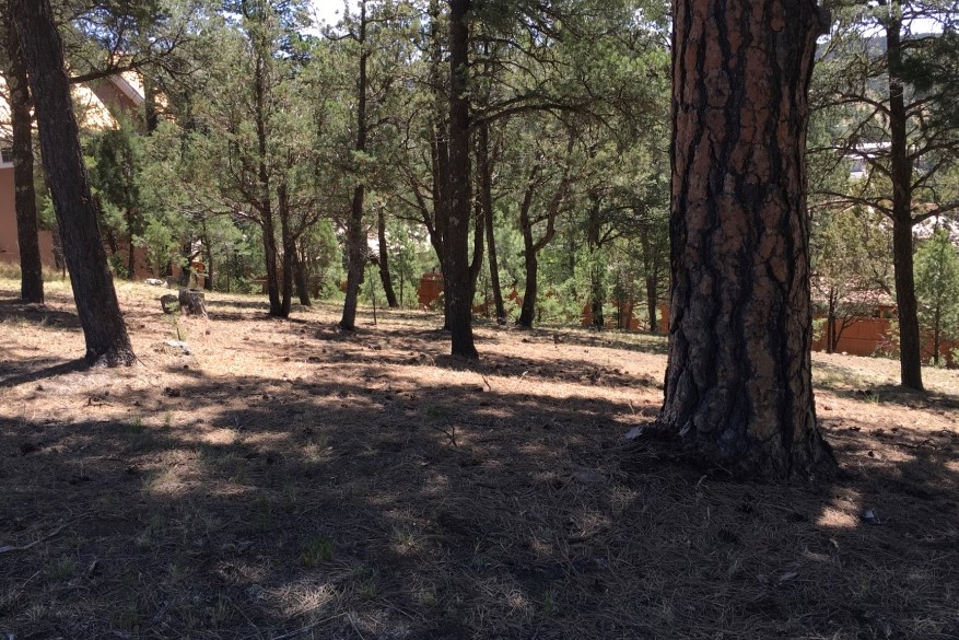 119 Pat Thompson Court, Ruidoso, NM 88345
