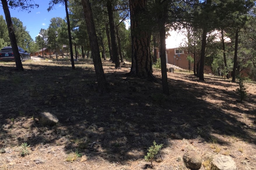 119 Pat Thompson Court, Ruidoso, NM 88345