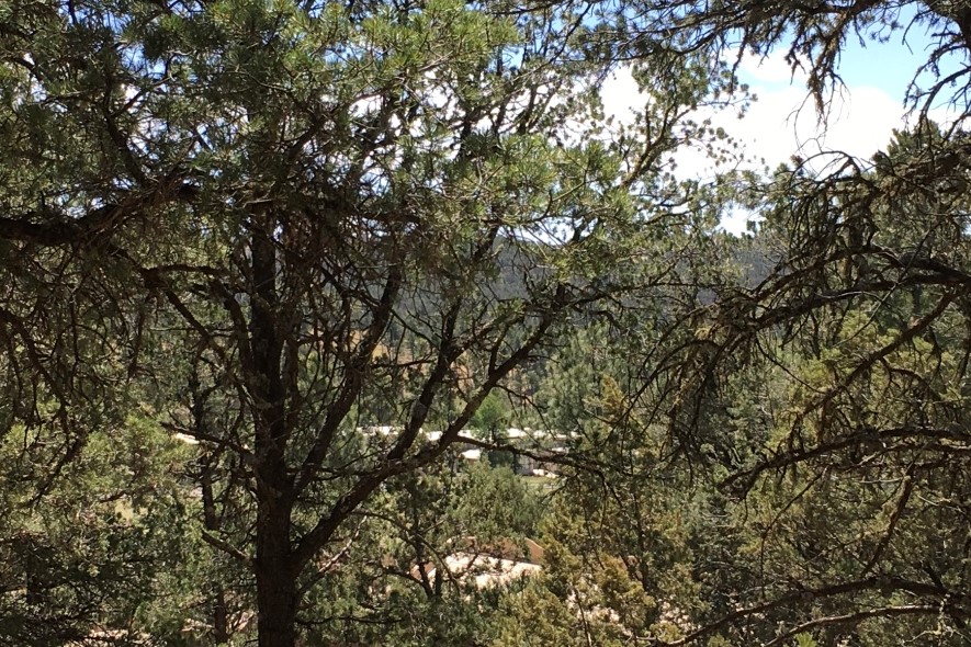 119 Pat Thompson Court, Ruidoso, NM 88345