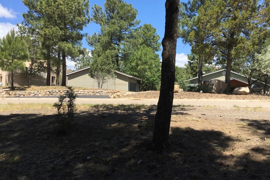 119 Pat Thompson Court, Ruidoso, NM 88345