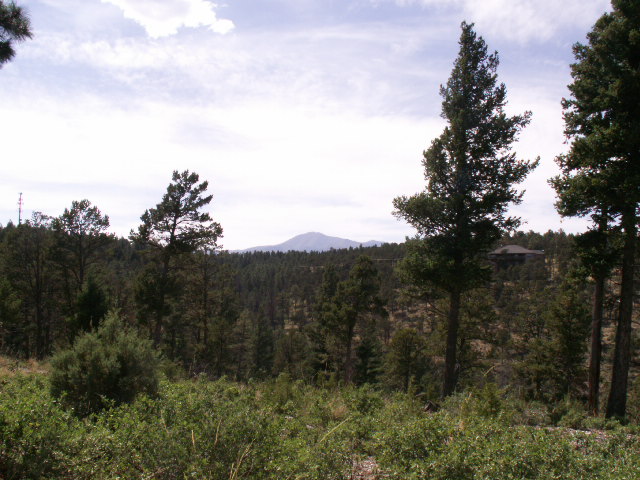 149 Merlyn Drive, Ruidoso, NM 88345