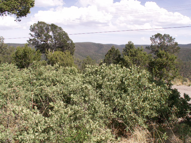 149 Merlyn Drive, Ruidoso, NM 88345