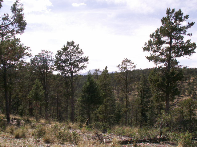 149 Merlyn Drive, Ruidoso, NM 88345