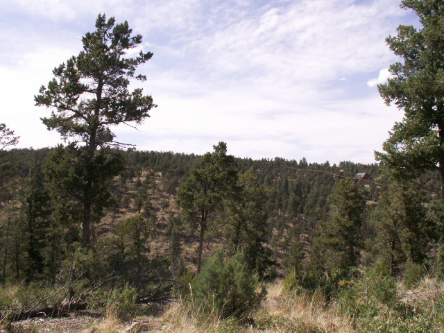 149 Merlyn Drive, Ruidoso, NM 88345