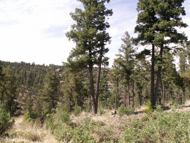 149 Merlyn Drive, Ruidoso, NM 88345