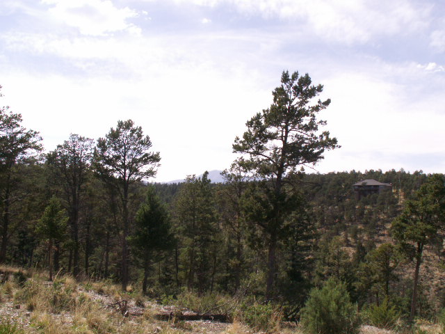 149 Merlyn Drive, Ruidoso, NM 88345