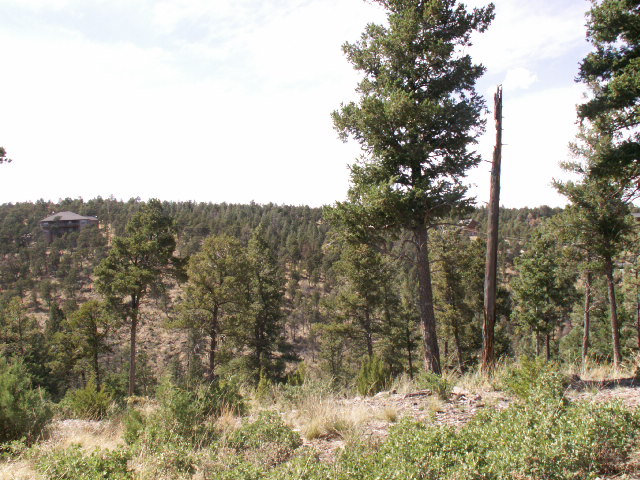 149 Merlyn Drive, Ruidoso, NM 88345