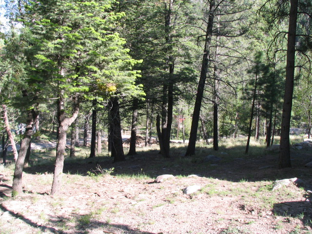 200 W Riverside Drive, Ruidoso, NM 88345