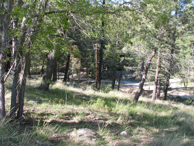 200 W Riverside Drive, Ruidoso, NM 88345