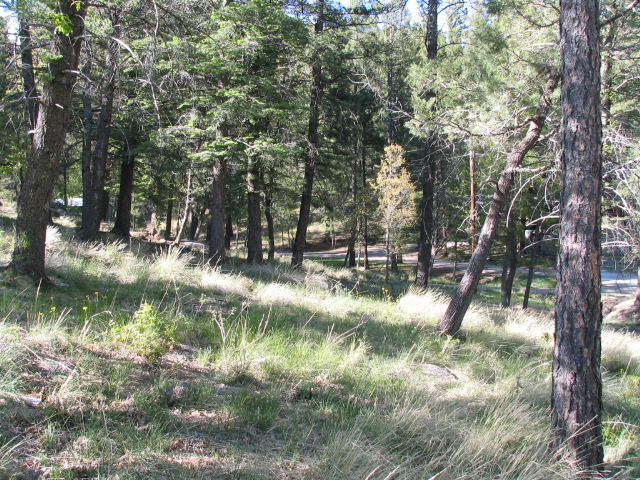 200 W Riverside Drive, Ruidoso, NM 88345