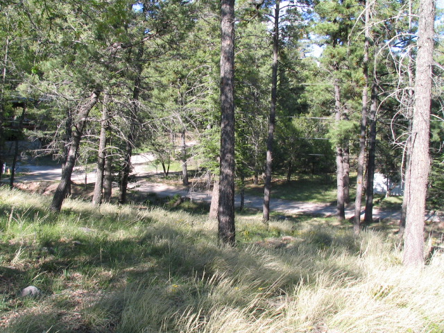 200 W Riverside Drive, Ruidoso, NM 88345