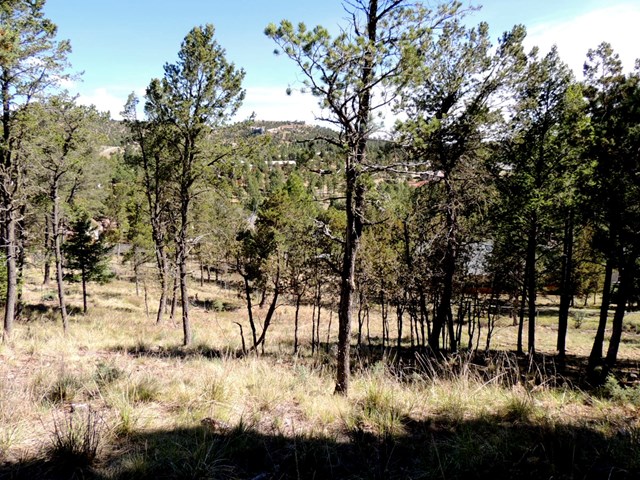 317 Granite Drive, Ruidoso, NM 88345