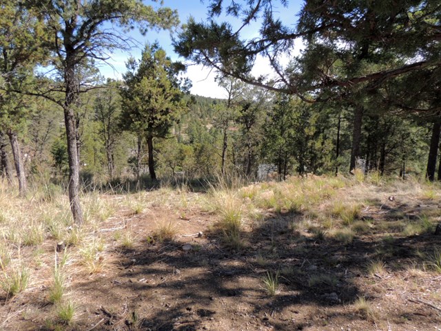 317 Granite Drive, Ruidoso, NM 88345