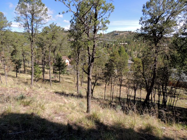 317 Granite Drive, Ruidoso, NM 88345