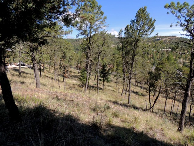 317 Granite Drive, Ruidoso, NM 88345