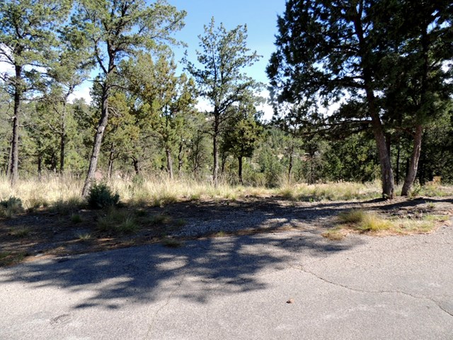 317 Granite Drive, Ruidoso, NM 88345