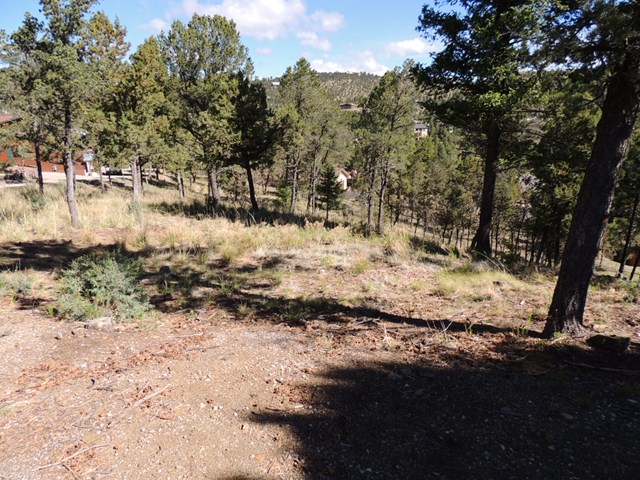 317 Granite Drive, Ruidoso, NM 88345
