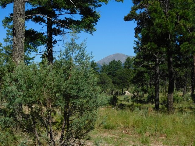 105 LAKEVIEW CT, Ruidoso, NM 88345