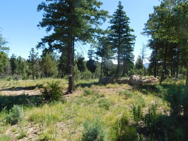 105 LAKEVIEW CT, Ruidoso, NM 88345