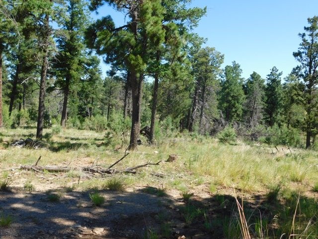 105 LAKEVIEW CT, Ruidoso, NM 88345