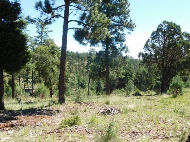 105 LAKEVIEW CT, Ruidoso, NM 88345