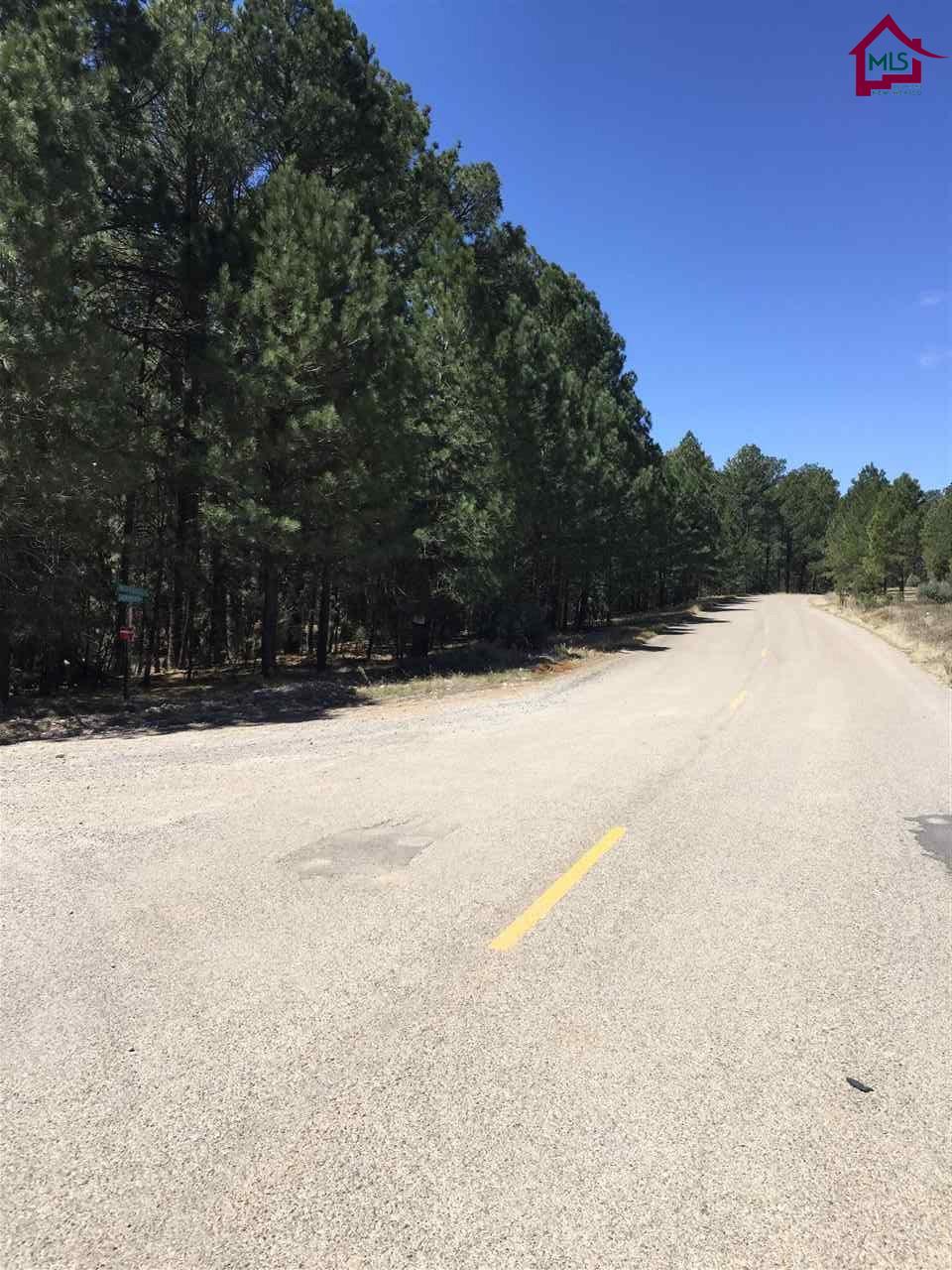 0000ROCKY TRAIL ROAD, Timberon, NM 88350
