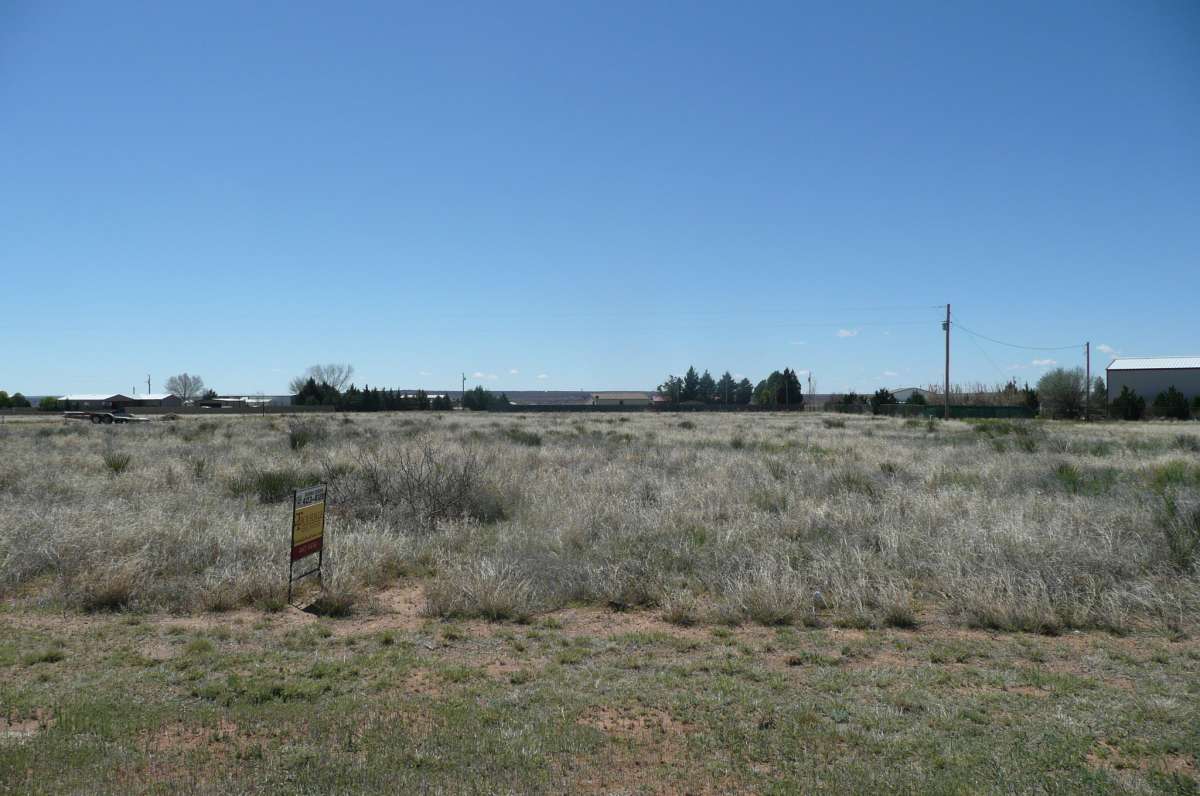 3002 Grayling Lane, Logan, NM 88426